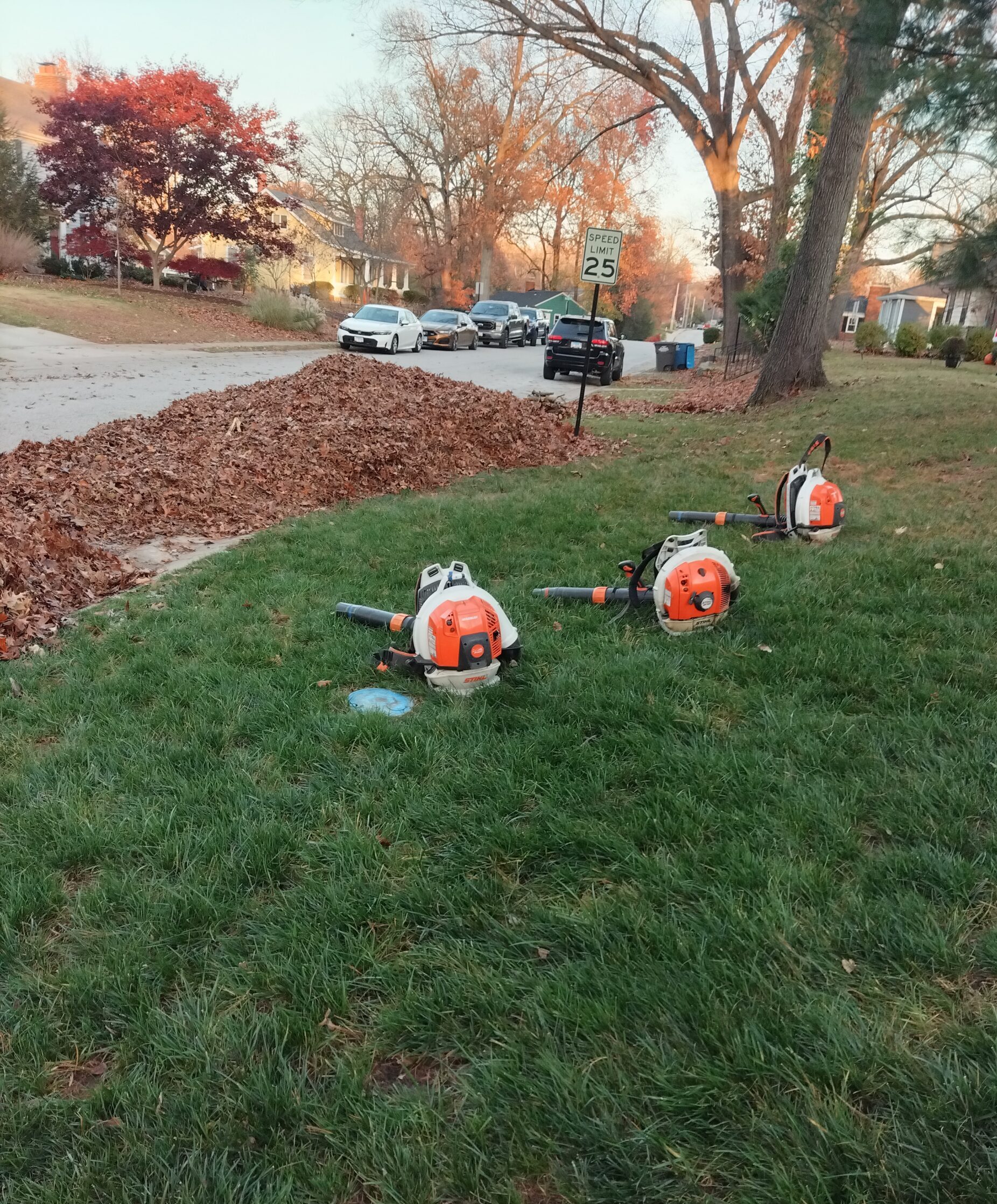 leaf blowers in yard