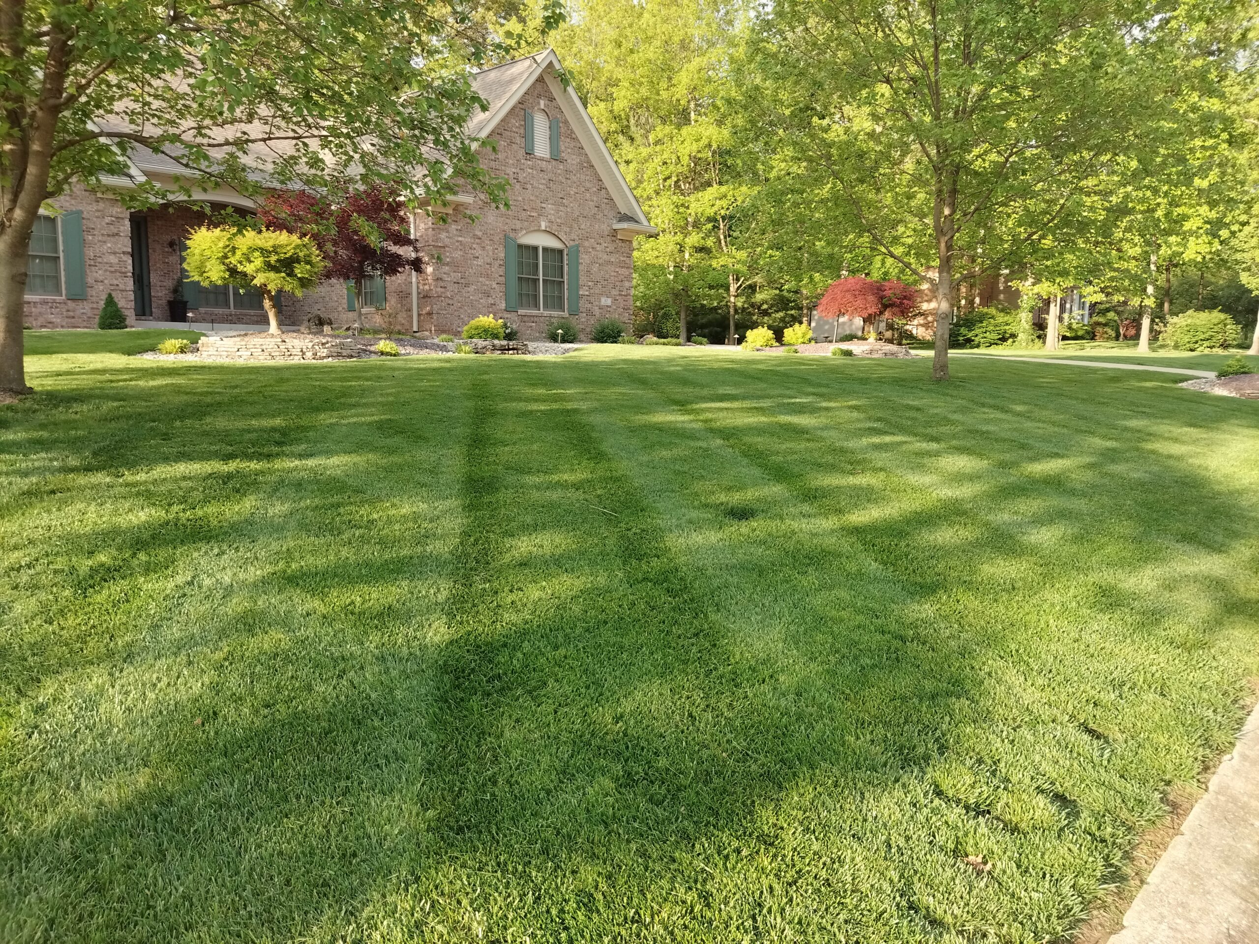 A lush green lawn with vibrant grass and trees in the background, creating a serene outdoor setting.