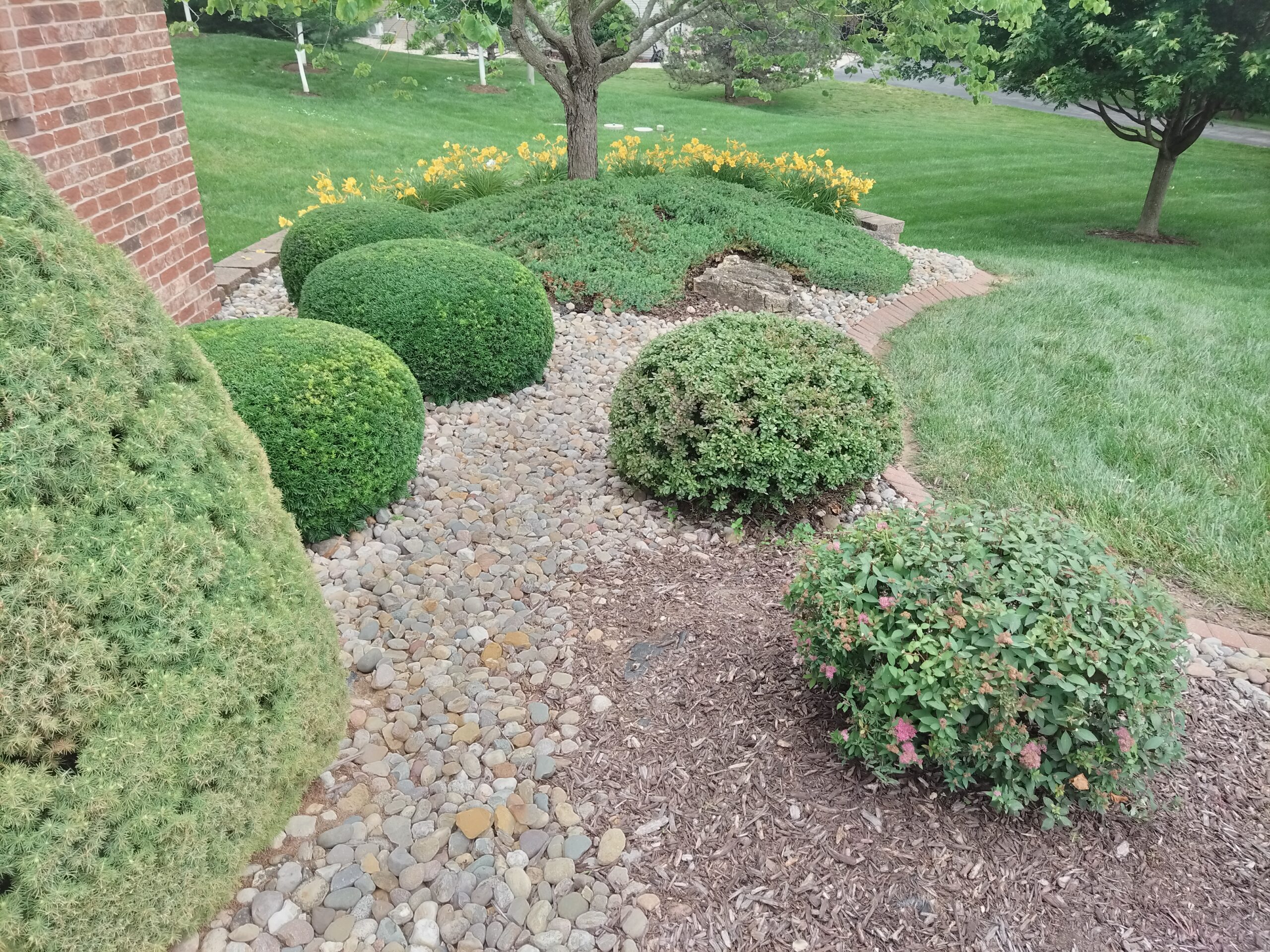 A small garden featuring various shrubs and trees, creating a lush and tranquil outdoor space.