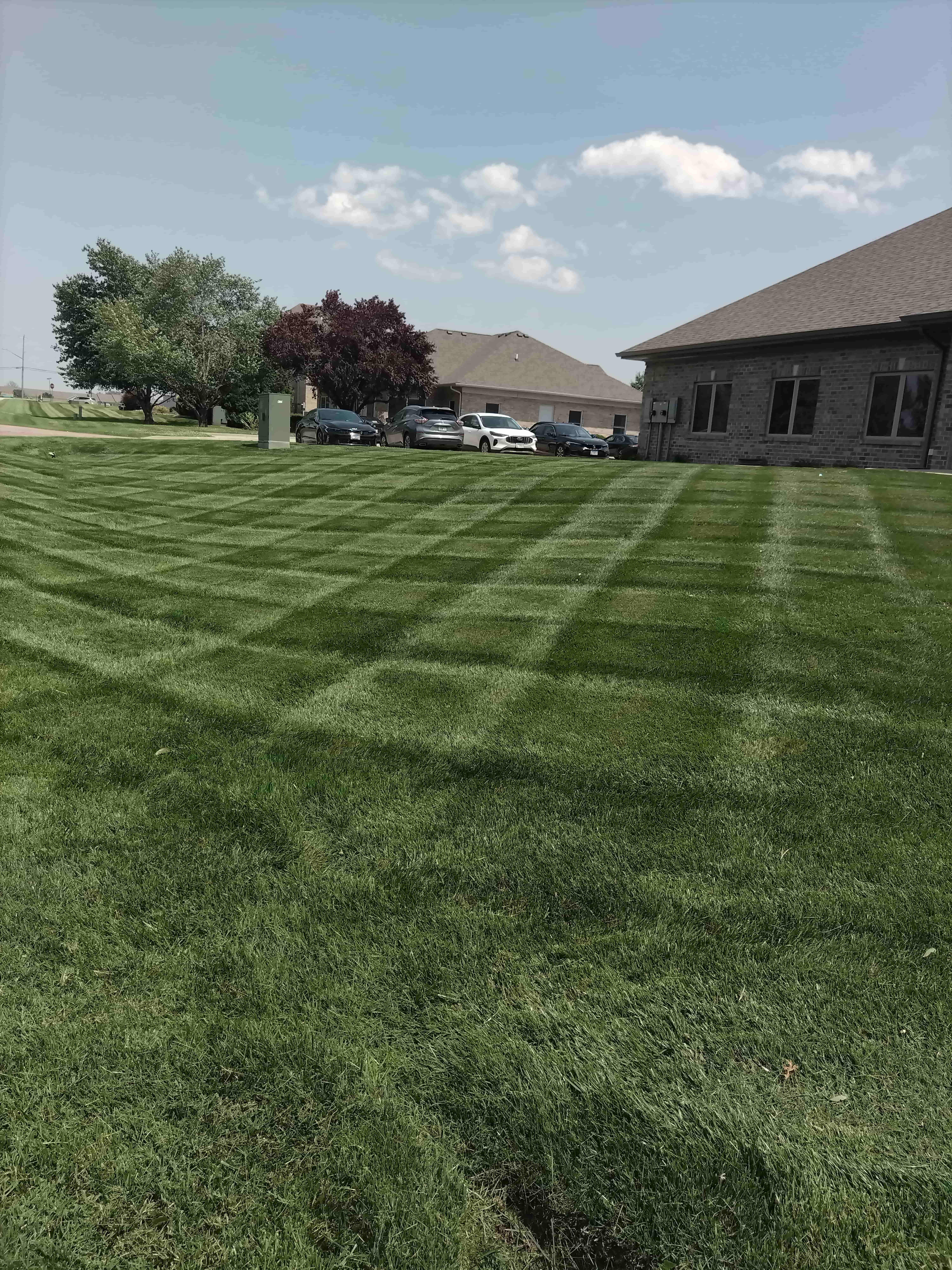 A neatly mowed lawn with a checkerboard pattern in front of a brick house under a clear sky. Trees and parked cars are visible in the background.