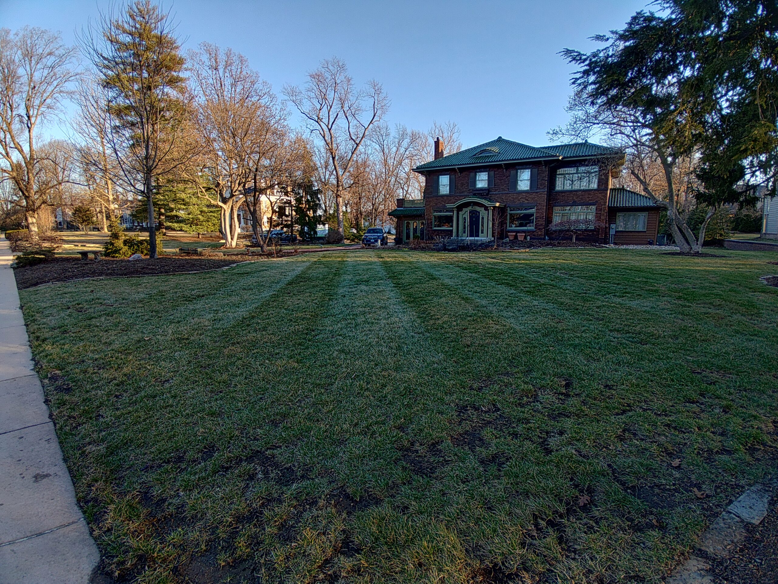 A green lawn with a house visible in the background under a clear blue sky.