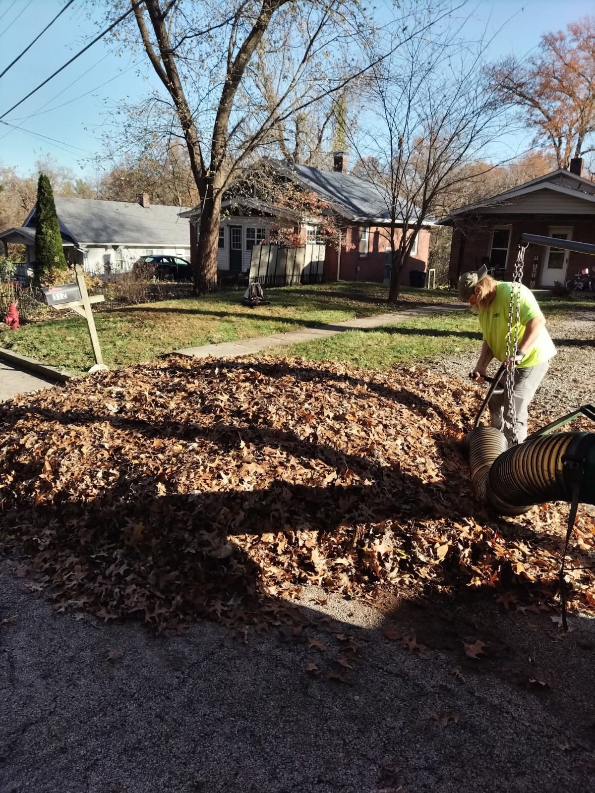 A man operates a leaf blower, clearing fallen leaves from a yard on a sunny day.