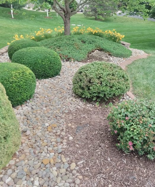 A small garden featuring various shrubs and trees, creating a lush and tranquil outdoor space.
