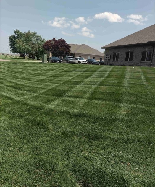 A neatly mowed lawn with a checkerboard pattern in front of a brick house under a clear sky. Trees and parked cars are visible in the background.