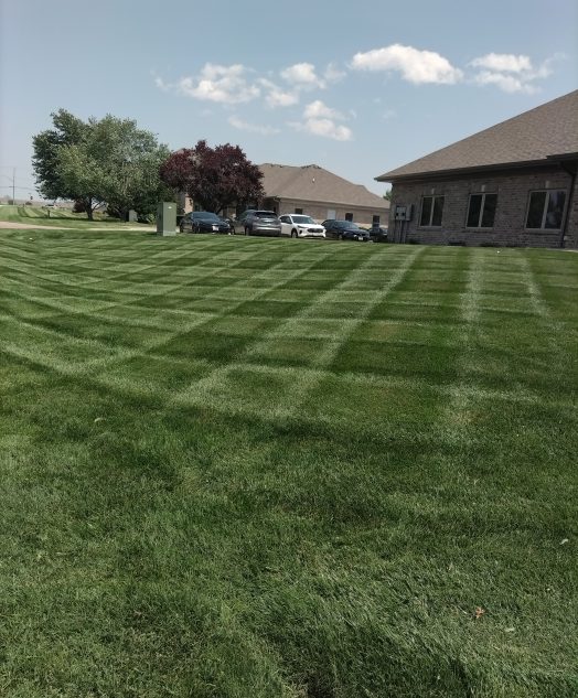 A neatly mowed lawn with a checkerboard pattern in front of a brick house under a clear sky. Trees and parked cars are visible in the background.