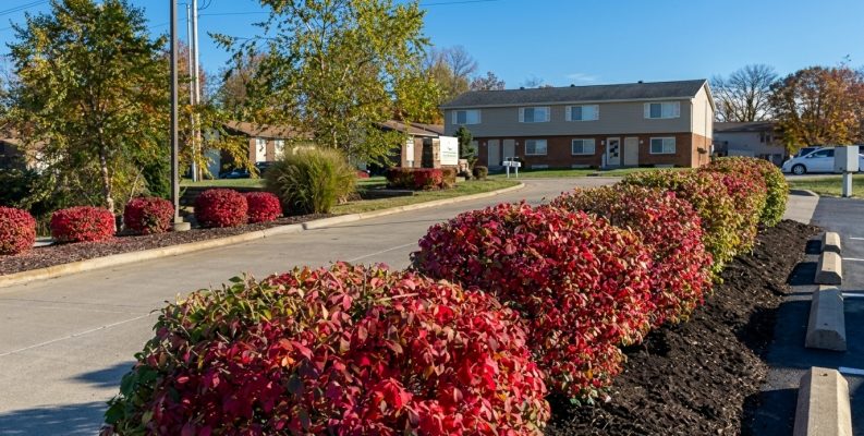 A street scene featuring a house with vibrant red and green bushes in the foreground.