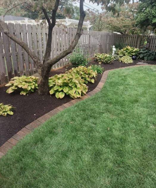 A well-maintained backyard featuring a large tree and decorative landscaping elements.