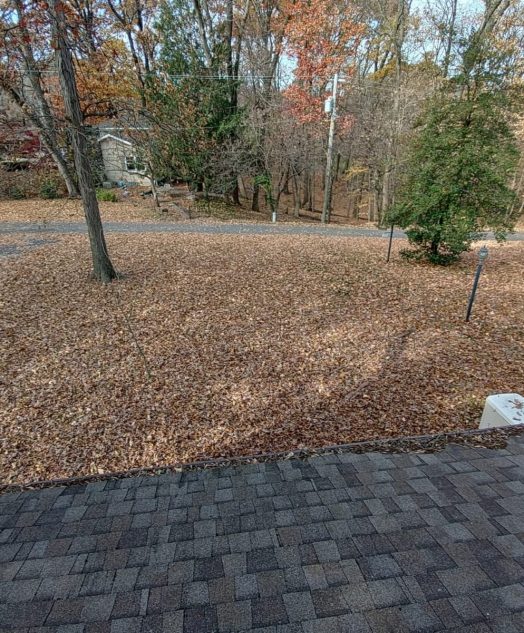 A driveway featuring a parked car, surrounded by a yard scattered with autumn leaves.